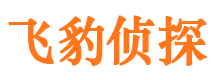 宜都市调查公司